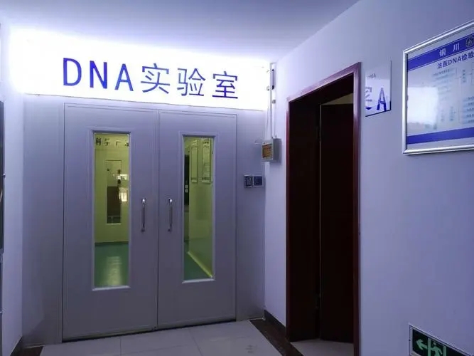 DNA实验室设计建设